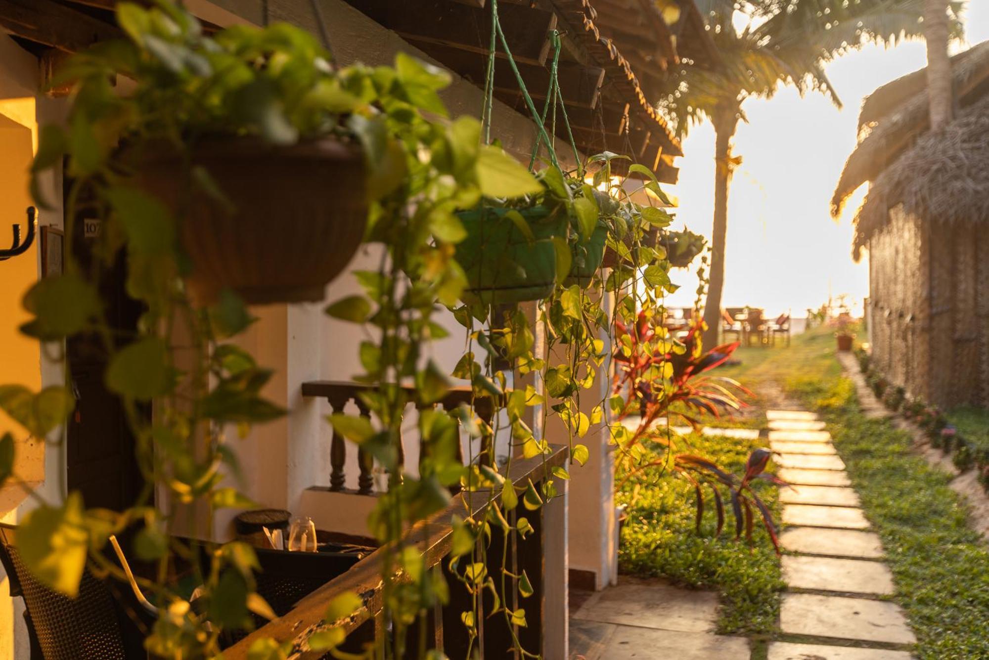 Forget Me Not Resort Agonda Ngoại thất bức ảnh
